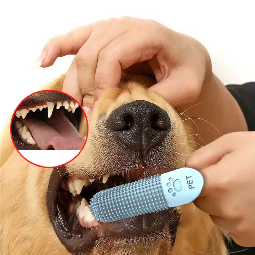 Escova de Dedo em Silicone para Cães – Higiene Oral no Dia a Dia