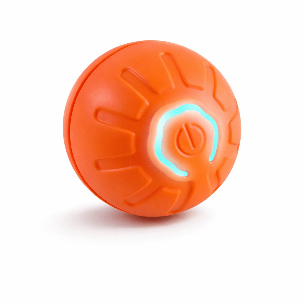 Bola Interativa Automática para Cães – Brinquedo Recarregável USB - DogCare.pt