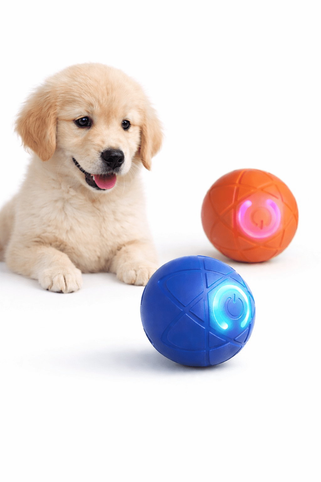 Bola Interativa Automática para Cães – Brinquedo Recarregável USB - DogCare.pt