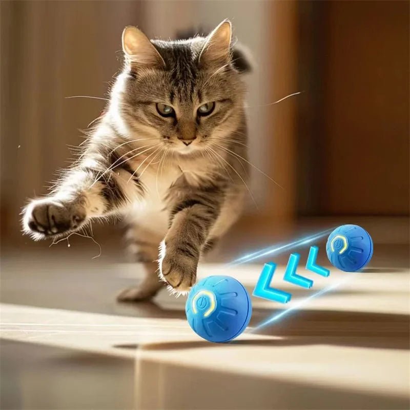 Bola Interativa Automática para Cães – Brinquedo Recarregável USB - DogCare.pt