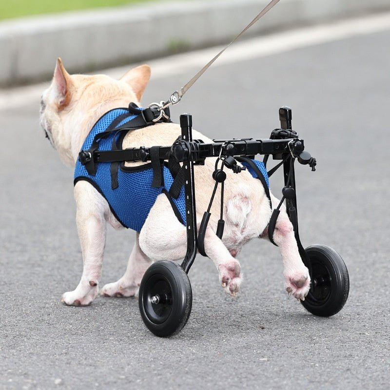Carrinho Ajustável de Apoio para Cães – Assistência para Passeios - DogCare.pt