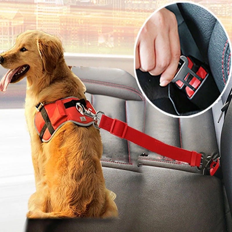 Cinto de segurança ajustável para Cães - viagem segura no carro - DogCare.pt