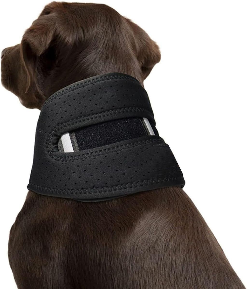 Coleira Ajustável para Cães – Conforto no Uso Diário - DogCare.pt