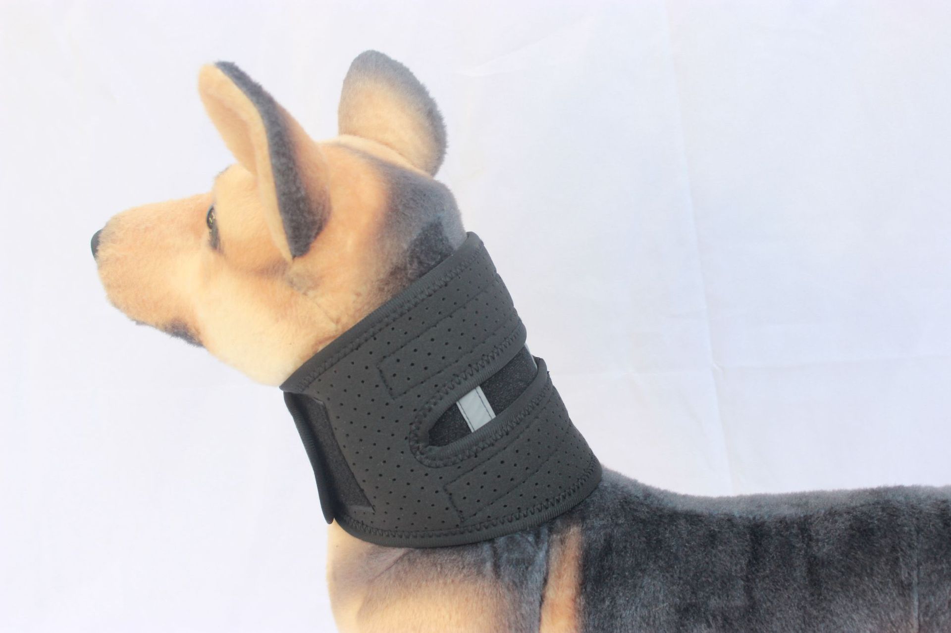 Coleira Ajustável para Cães – Conforto no Uso Diário - DogCare.pt