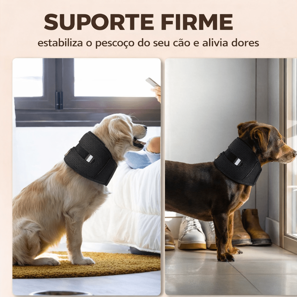 Coleira Ajustável para Cães – Conforto no Uso Diário - DogCare.pt