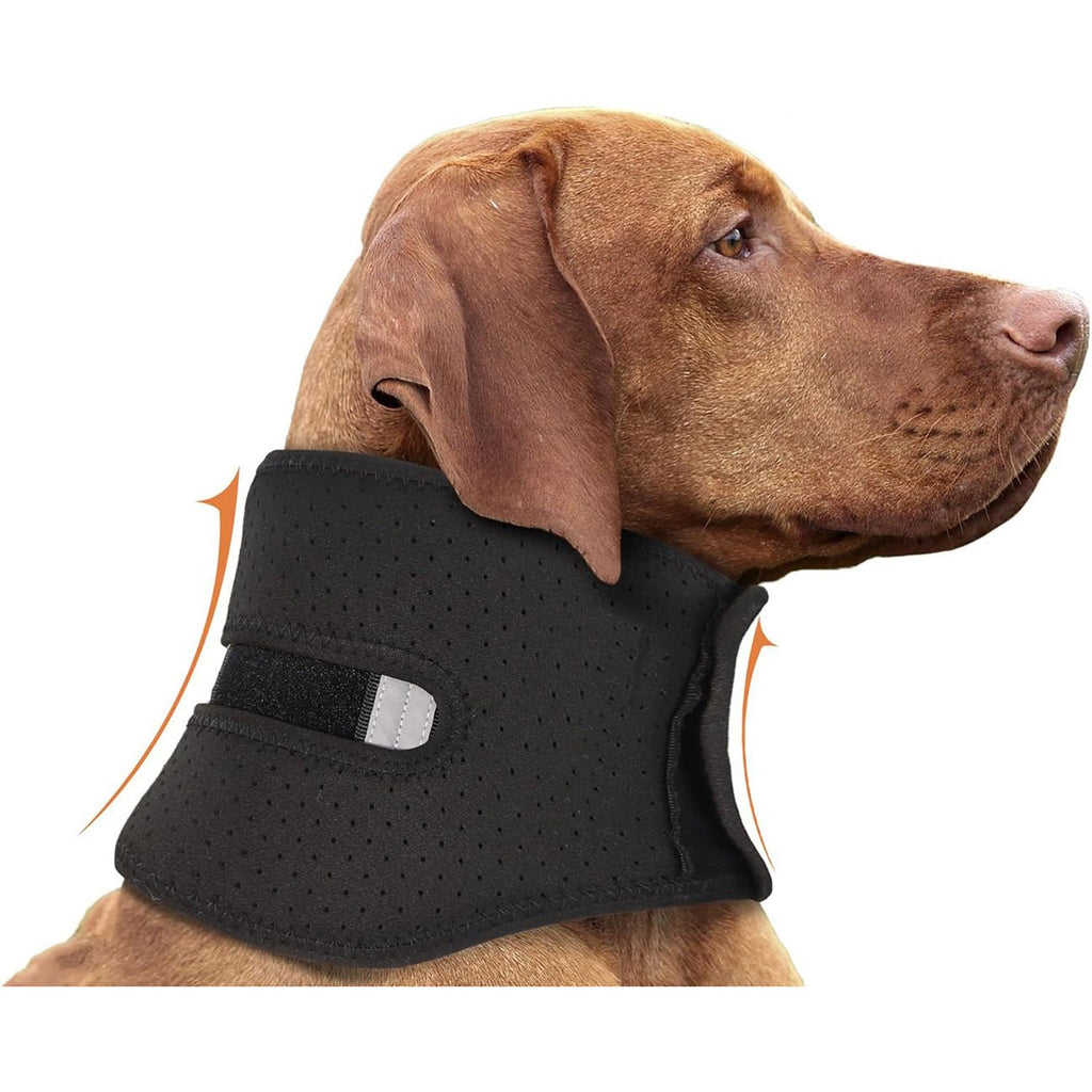 Coleira Ajustável para Cães – Conforto no Uso Diário - DogCare.pt
