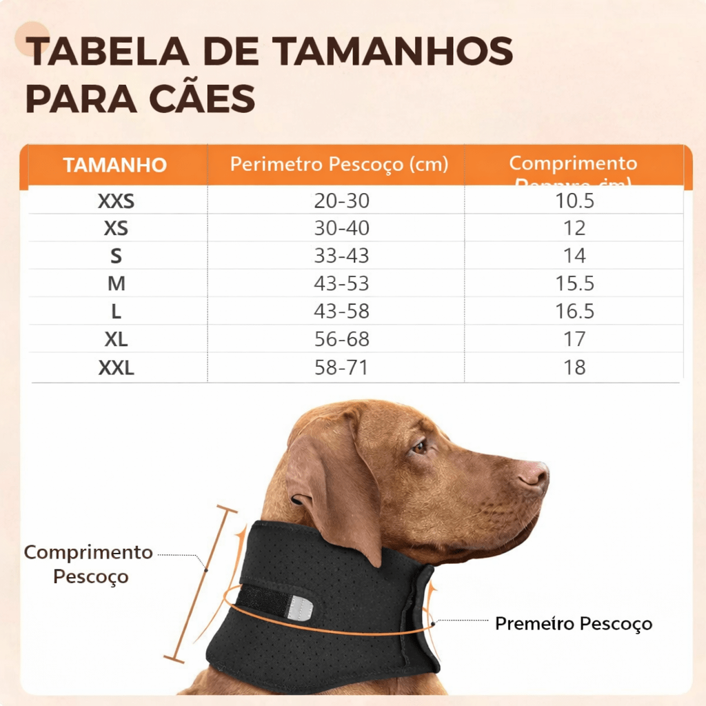 Coleira Ajustável para Cães – Conforto no Uso Diário - DogCare.pt