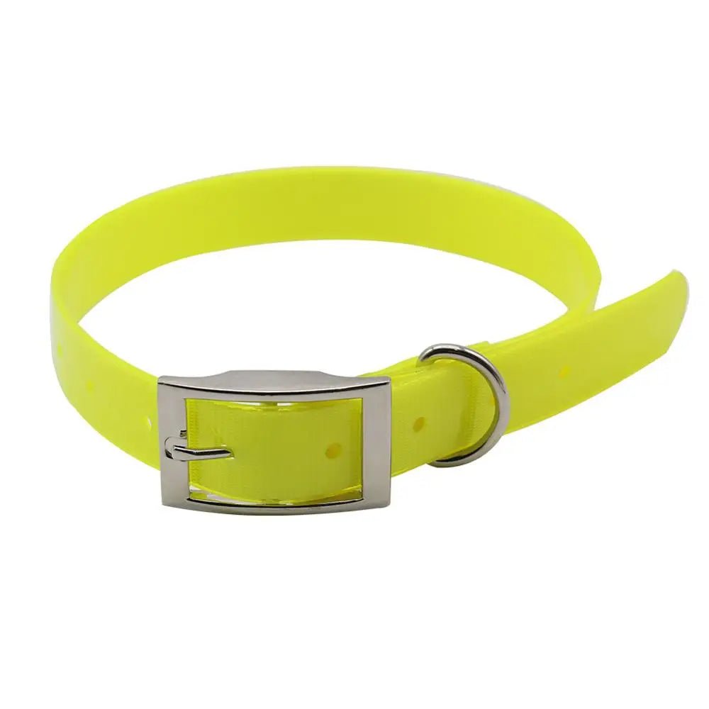 Coleira Impermeável para Cães em TPU – Ajustável e Fácil de Limpar - DogCare.pt