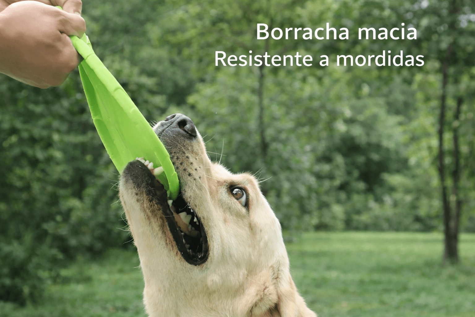 Disco Voador Resistente para Cães - DogCare.pt