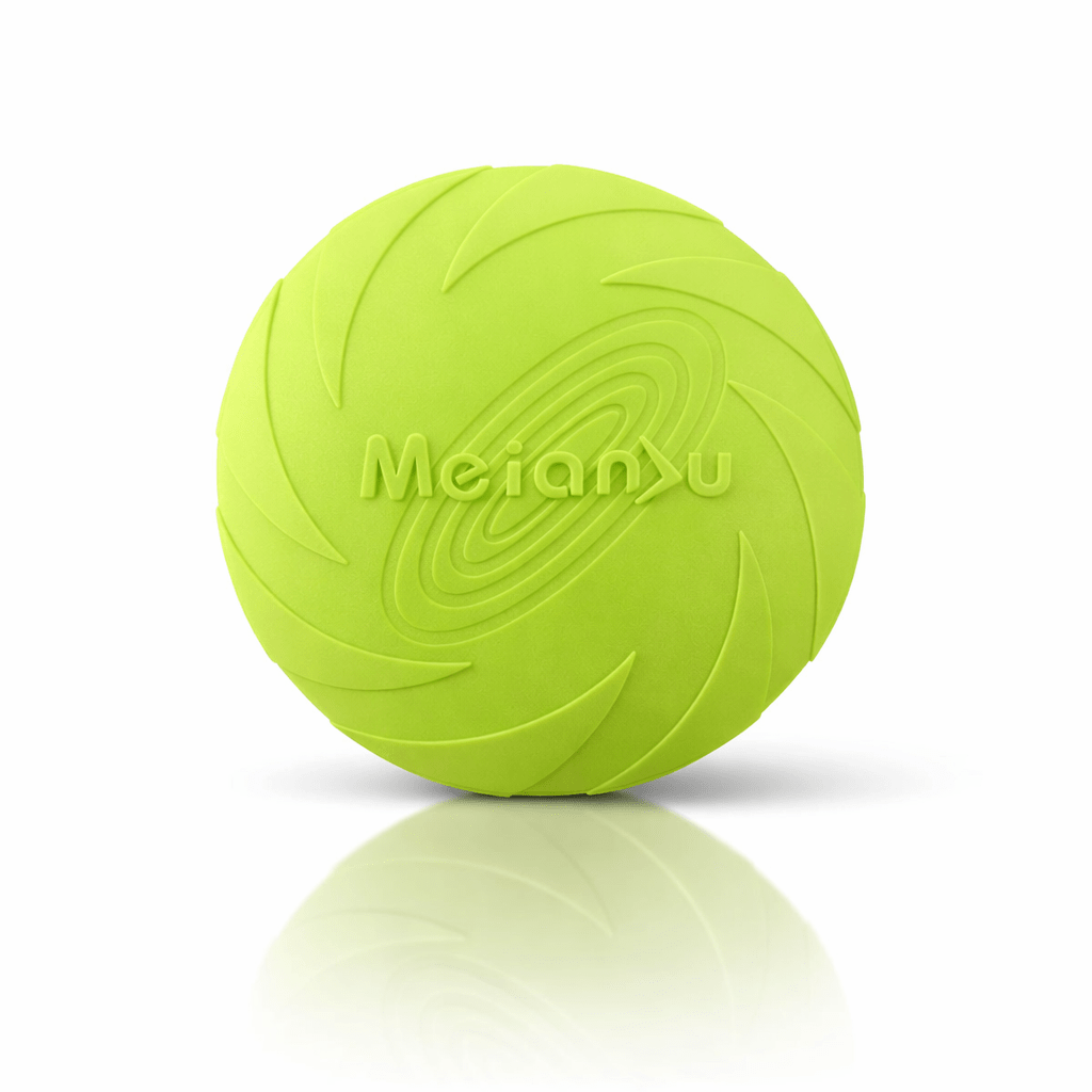 Disco Voador Resistente para Cães - DogCare.pt