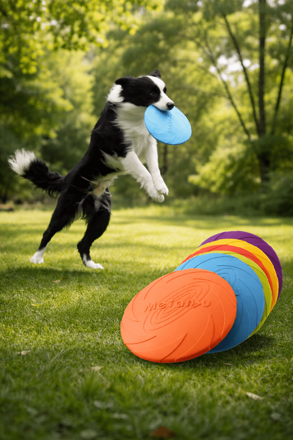 Disco Voador Resistente para Cães - DogCare.pt