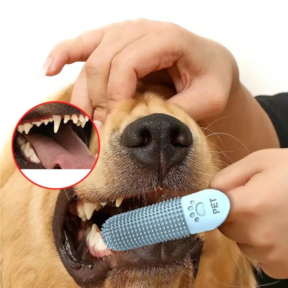 Escova de Dedo em Silicone para Cães – Higiene Oral no Dia a Dia - DogCare.pt
