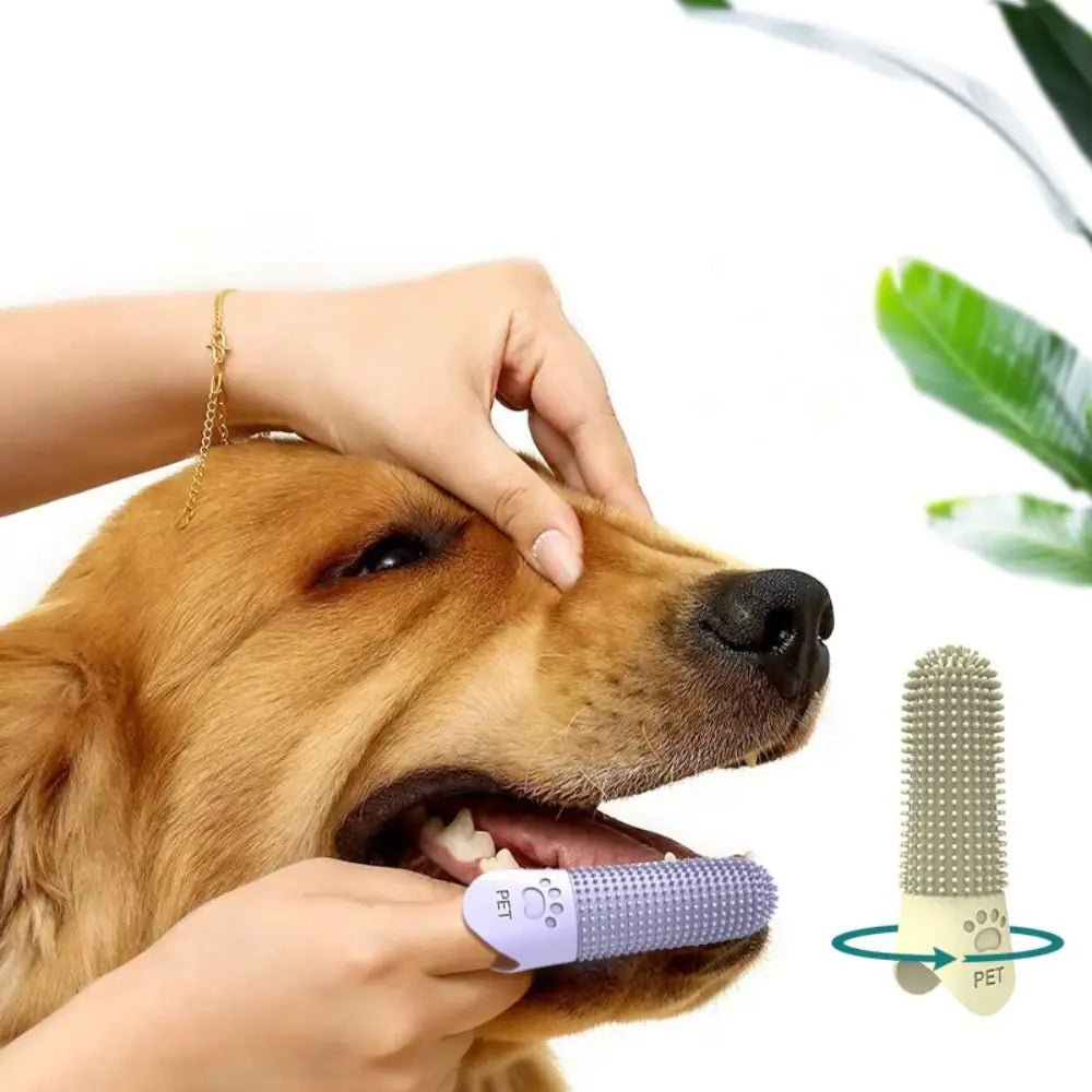 Escova de Dedo em Silicone para Cães – Higiene Oral no Dia a Dia - DogCare.pt
