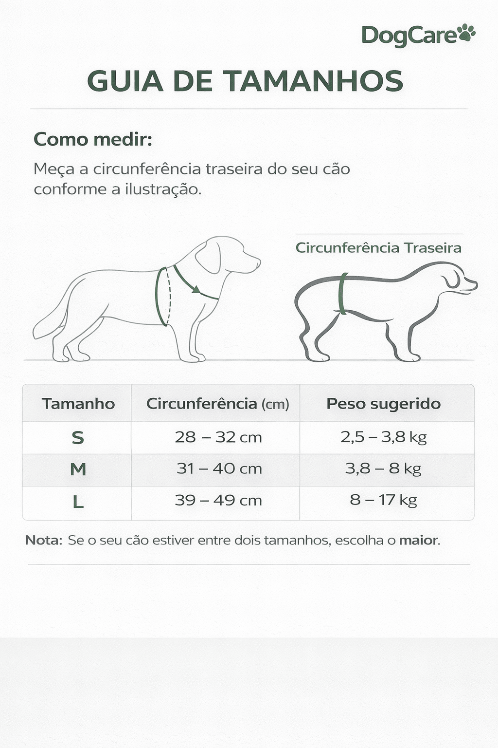 Faixa Abdominal Lavável para Cães Machos – Uso Interior - DogCare.pt