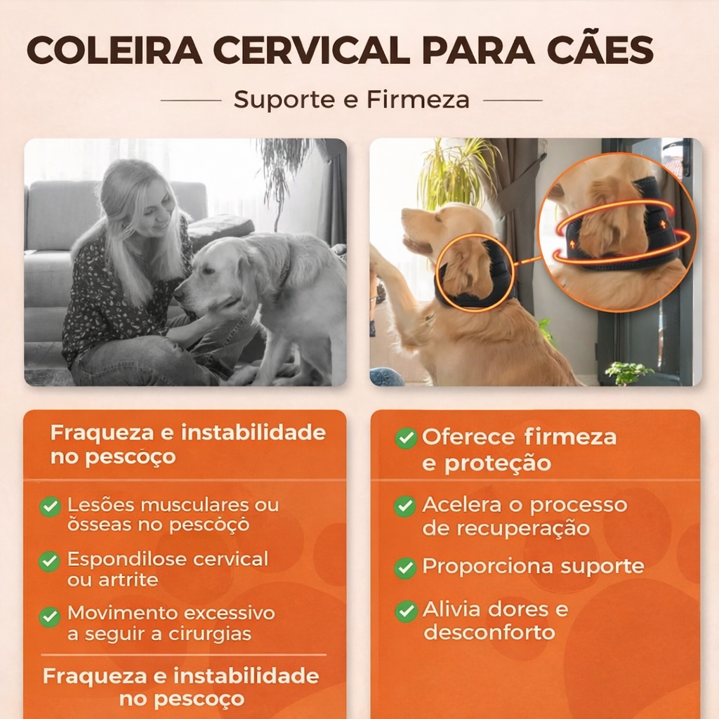 Coleira Ajustável para Cães – Conforto no Uso Diário