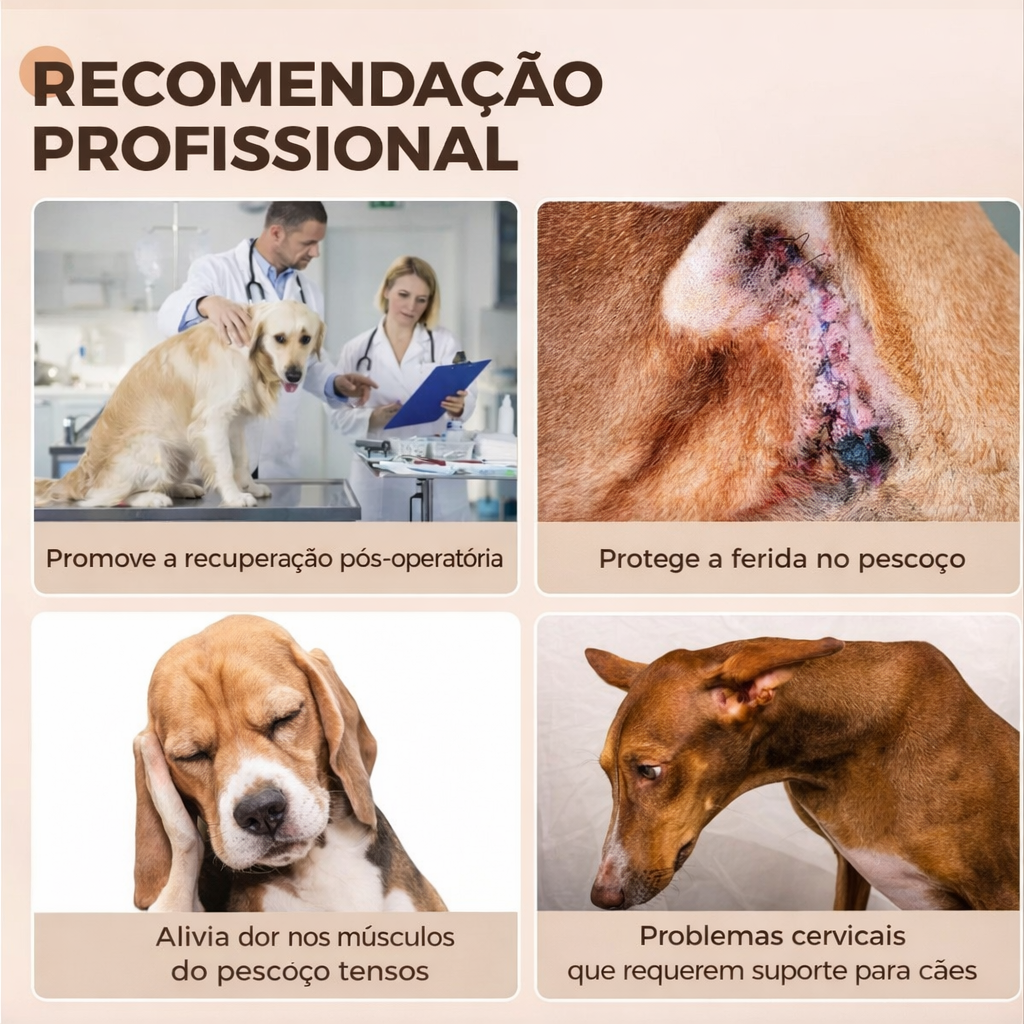 Coleira Ajustável para Cães – Conforto no Uso Diário