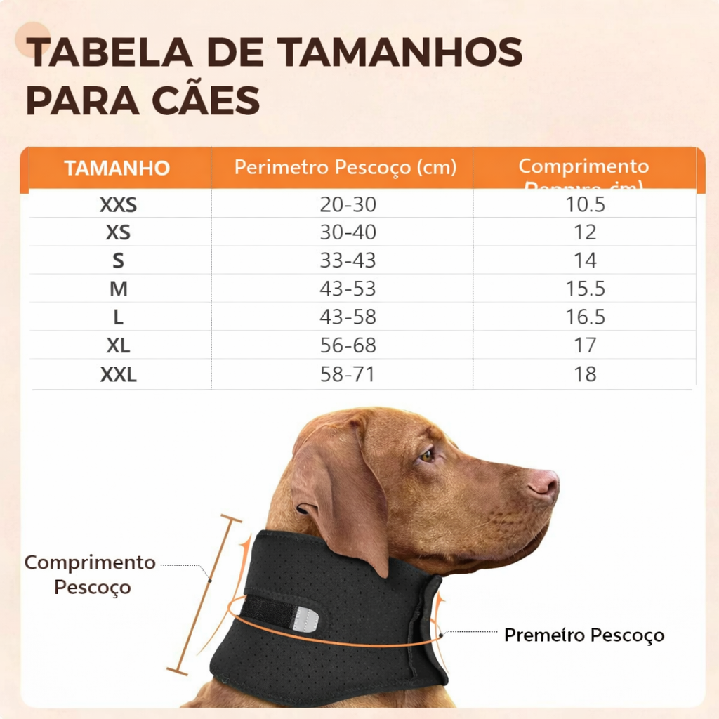 Coleira Ajustável para Cães – Conforto no Uso Diário