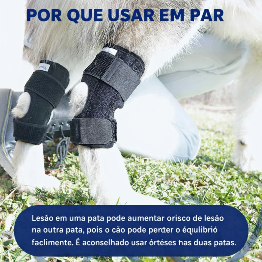 Suporte de Joelho Ajustável para Cães – Estabilidade e Conforto no Uso Diário
