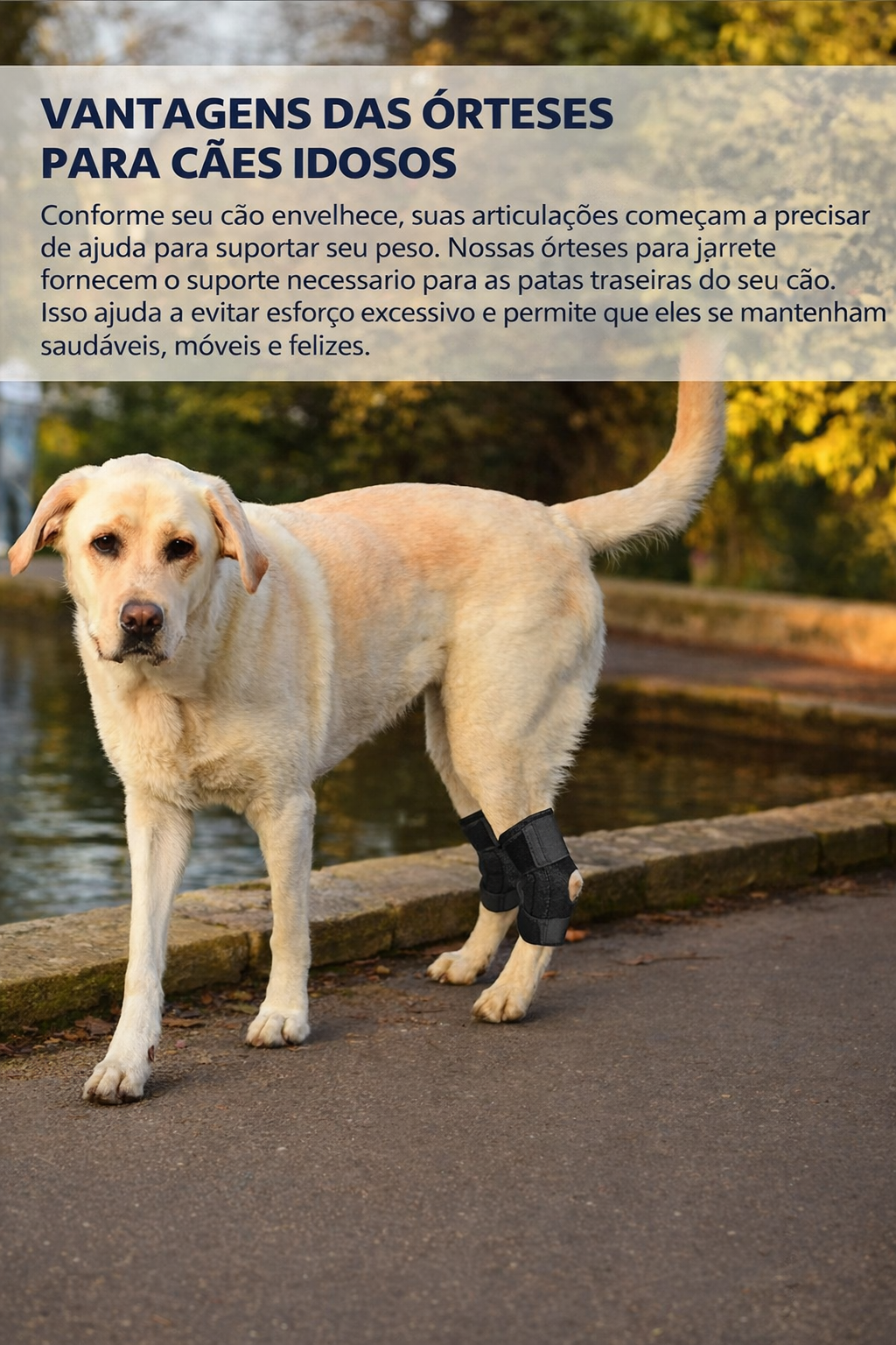 Suporte de Joelho Ajustável para Cães – Estabilidade e Conforto no Uso Diário