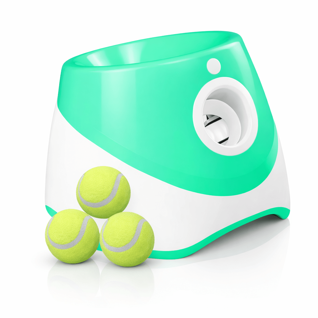 Lançador Automático de Bolas para Cães – Brinquedo Interativo com Sensor - DogCare.pt
