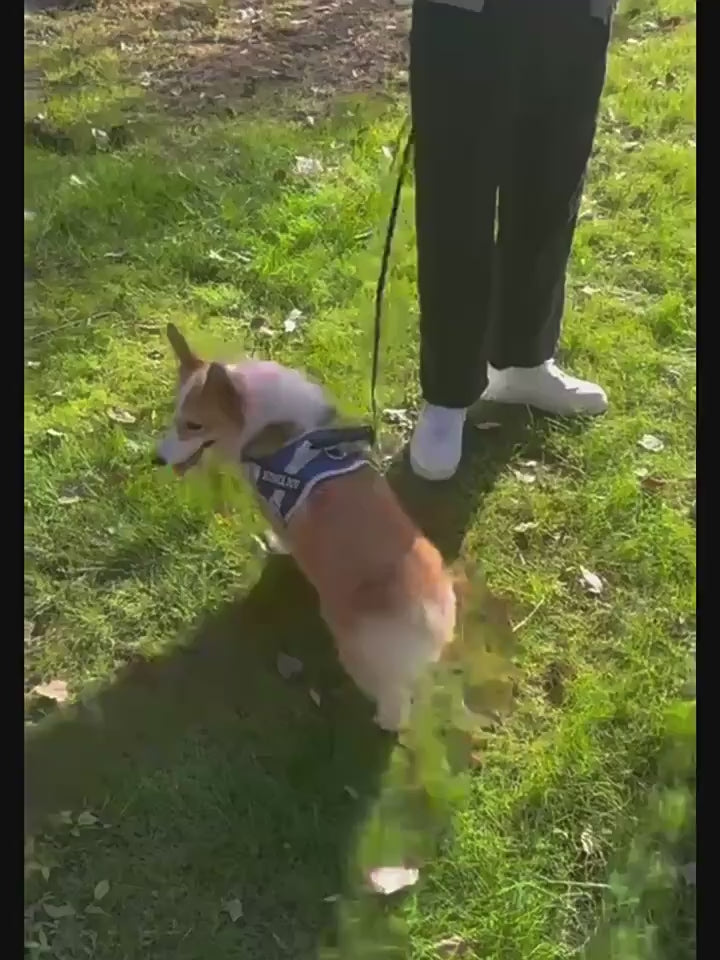 Garrafa Portátil para Cães – Água em Qualquer Lugar