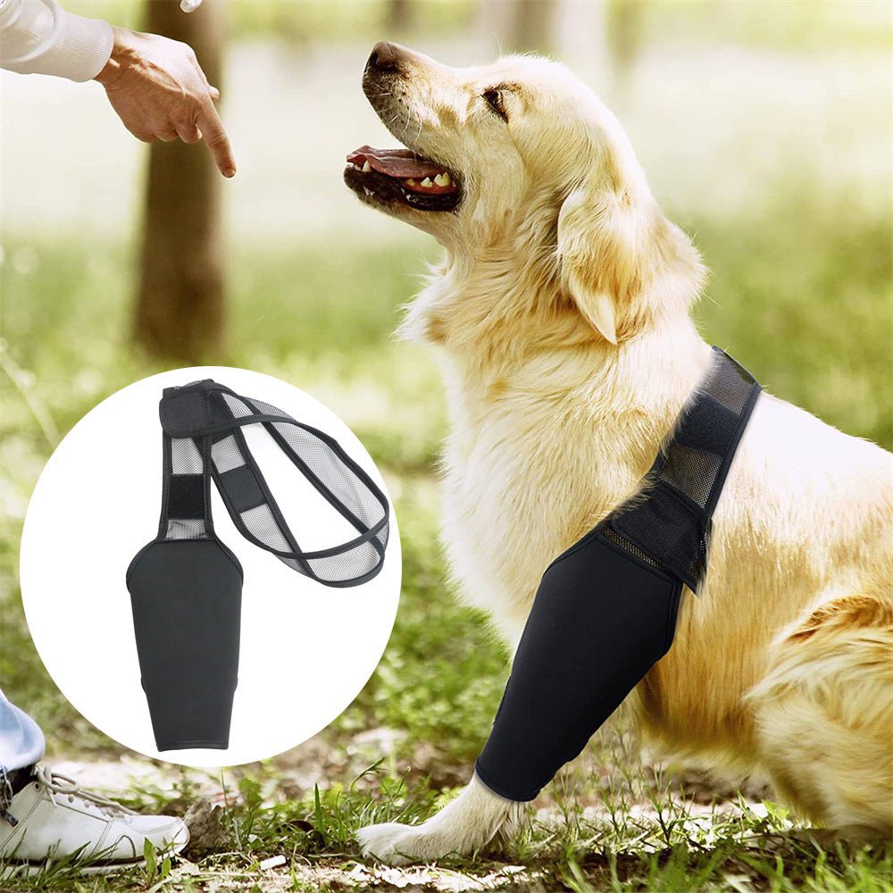 Suporte Ajustável para Perna de Cães – Conforto | Preto - DogCare.pt