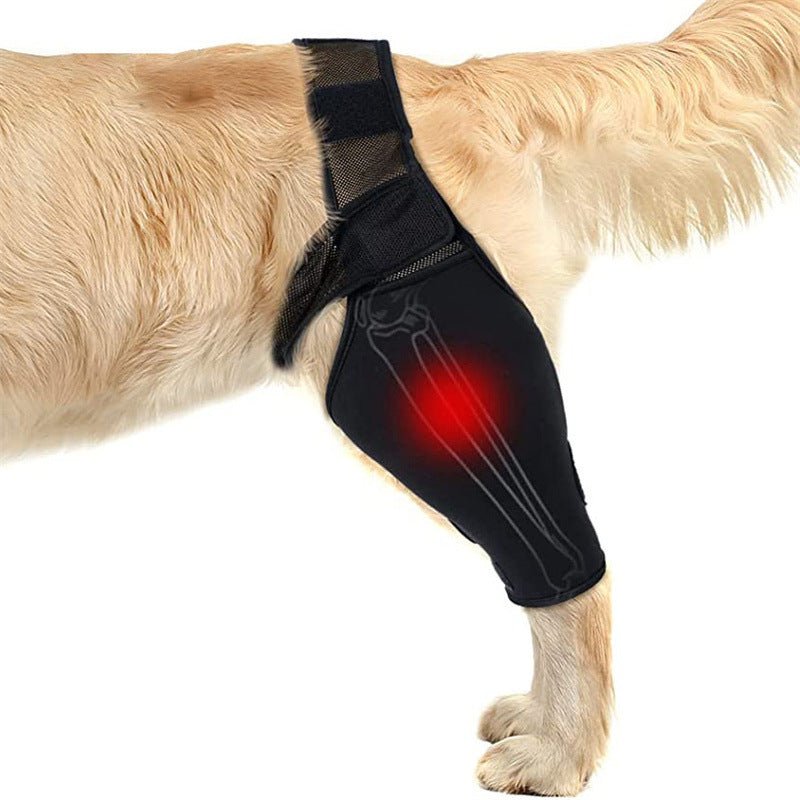Suporte Ajustável para Perna de Cães – Conforto | Preto - DogCare.pt