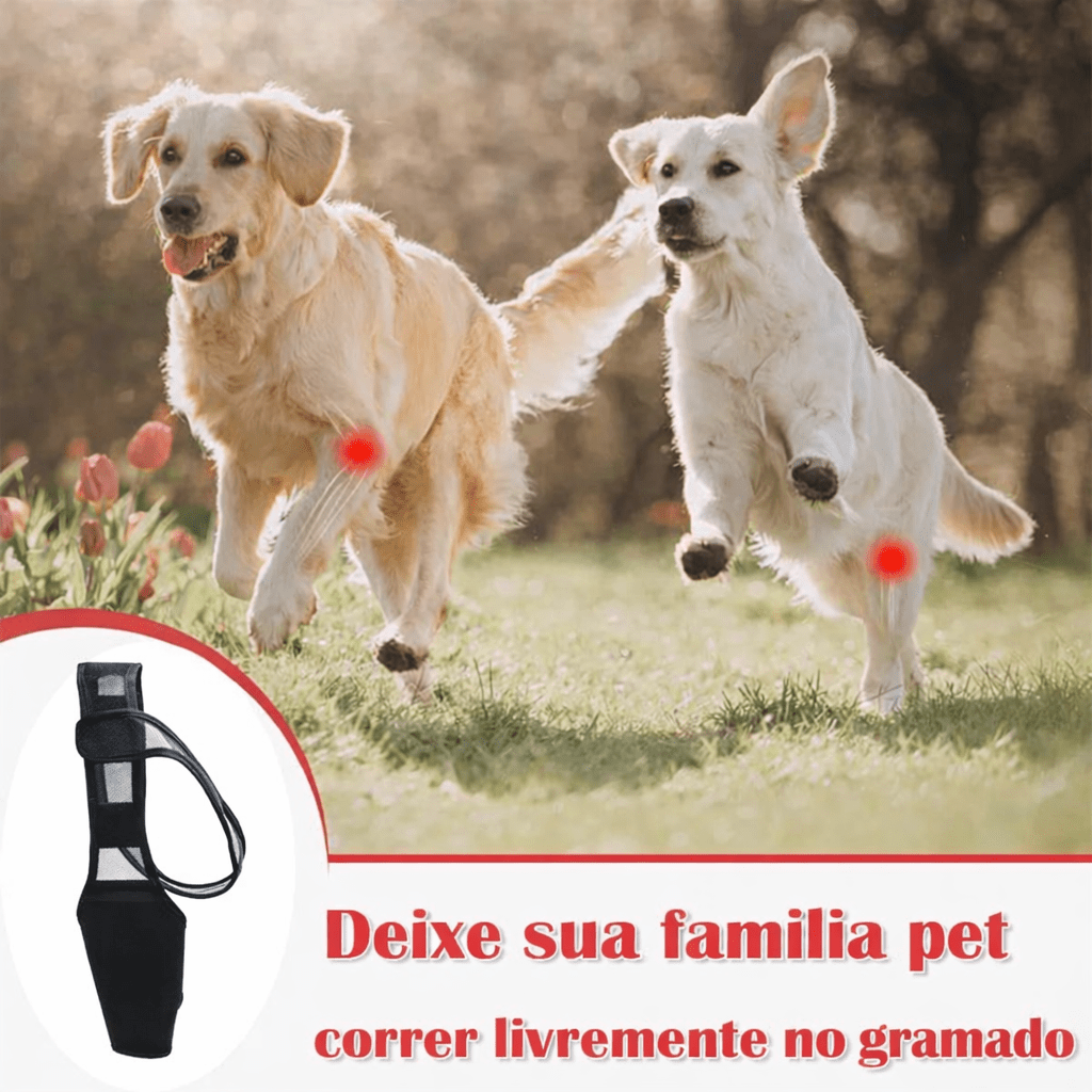 Suporte Ajustável para Perna de Cães – Conforto | Preto - DogCare.pt