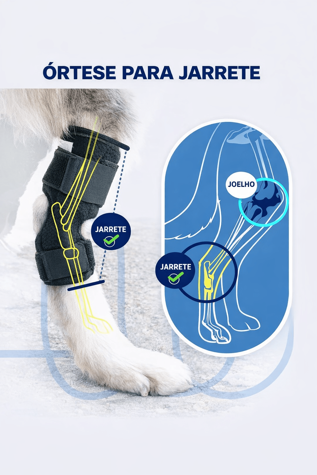 Suporte de Joelho Ajustável para Cães – Estabilidade e Conforto no Uso Diário - DogCare.pt