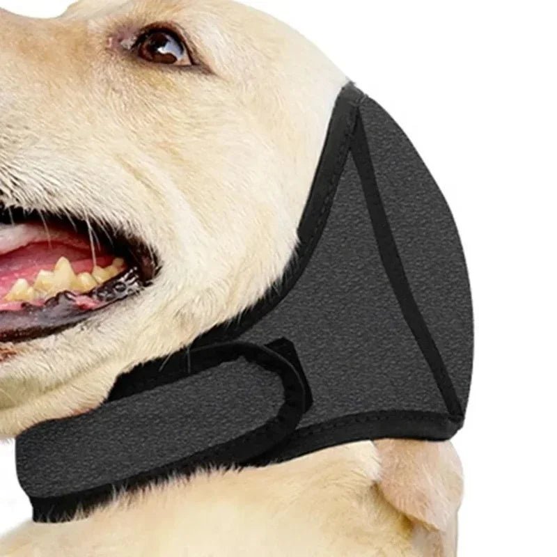 Touca Protetora Anti vento e Impermeável para Cães - DogCare.pt