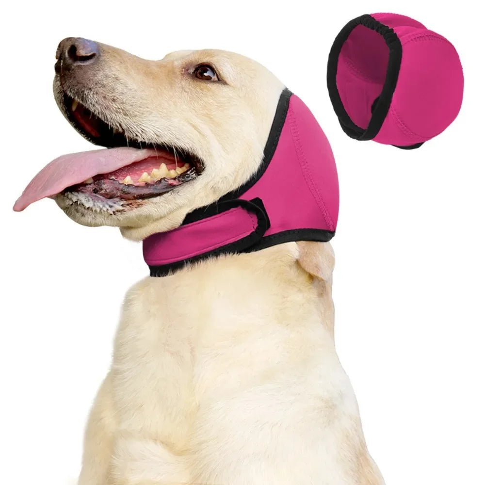 Touca Protetora Anti vento e Impermeável para Cães - DogCare.pt